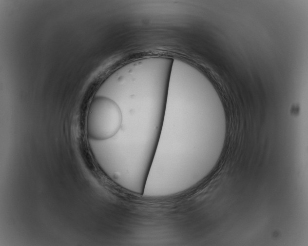 X0000102460734200808080944