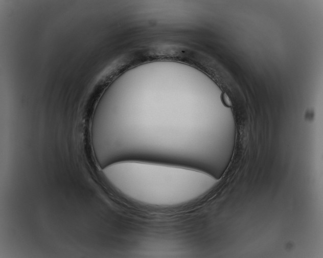 X0000102460735200808080944