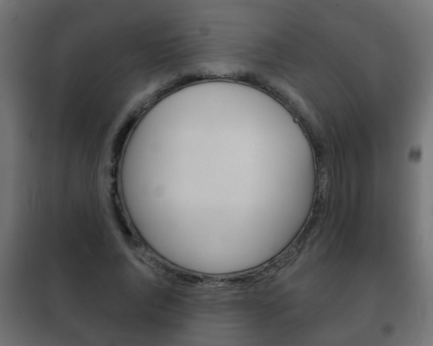X0000102460736200808080944
