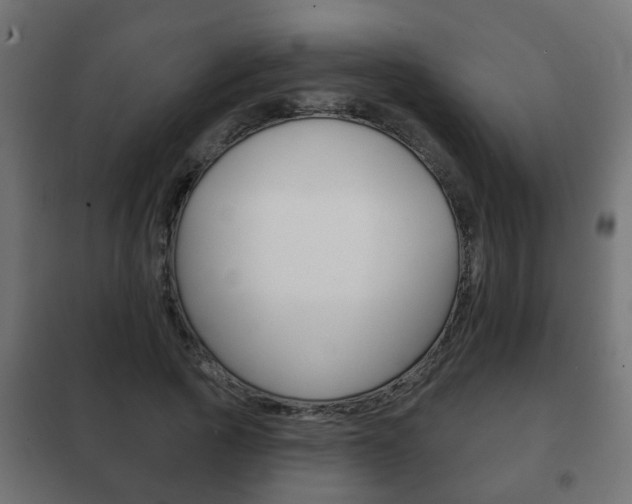 X0000102460737200808080944