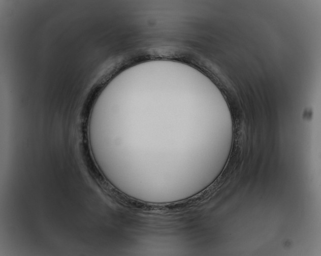 X0000102460738200808080944