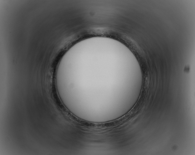 X0000102460739200808080944