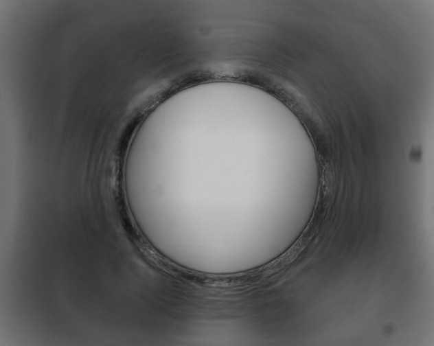 X0000102460740200808080944