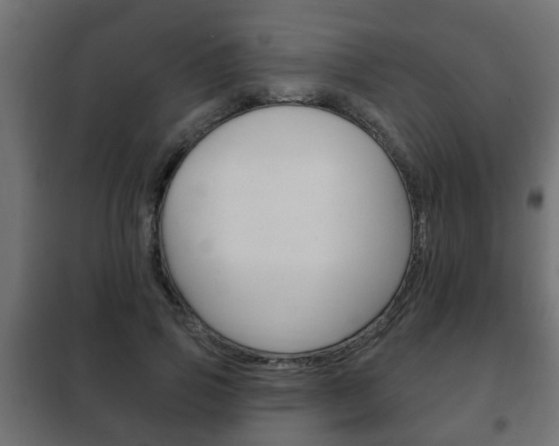X0000102460741200808080944