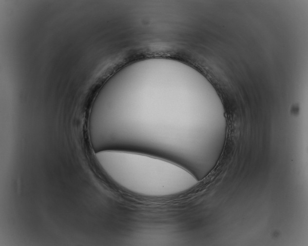 X0000102460742200808080944