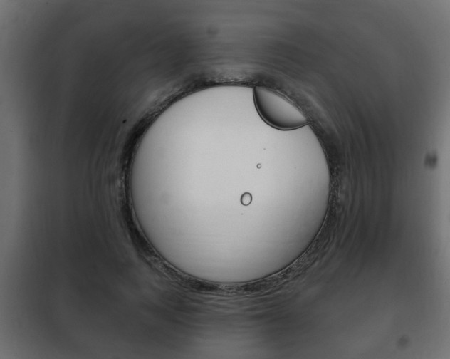 X0000102460743200808080944