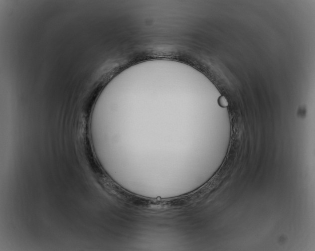 X0000102460744200808080944