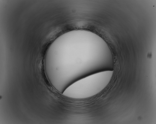 X0000102460746200808080944