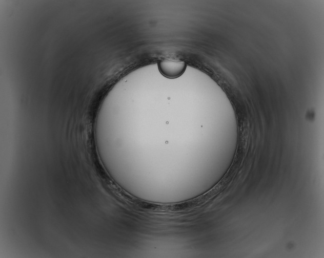 X0000102460747200808080944