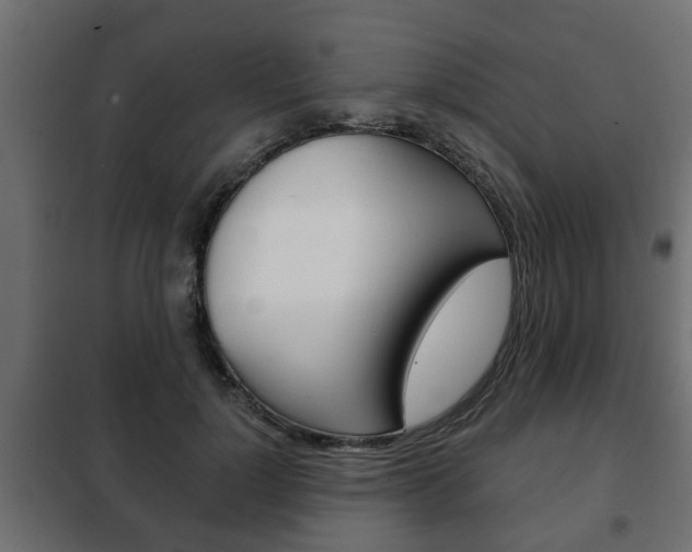 X0000102460748200808080944