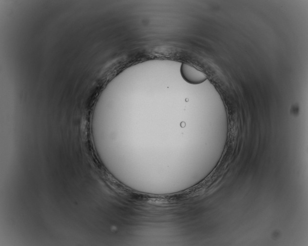 X0000102460749200808080944