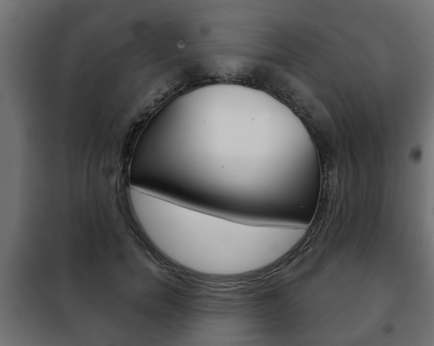 X0000102460750200808080944