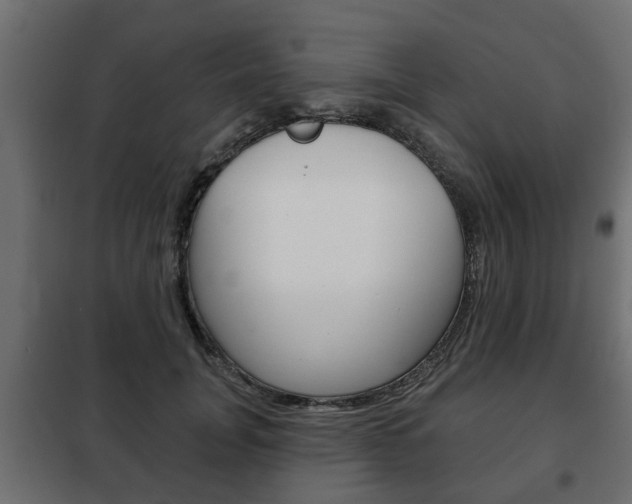 X0000102460751200808080944