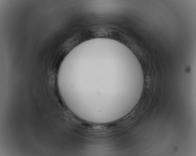 X0000102460753200808080944