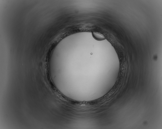 X0000102460755200808080944