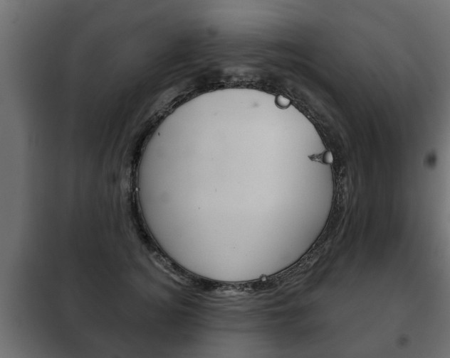 X0000102460756200808080944