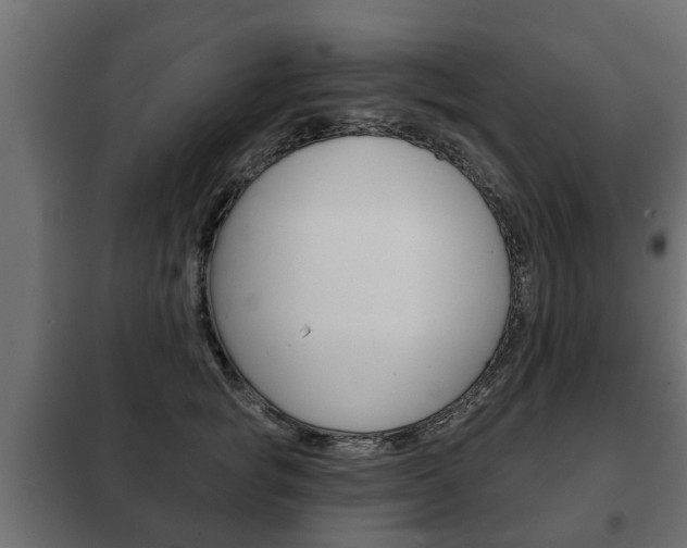 X0000102460757200808080944