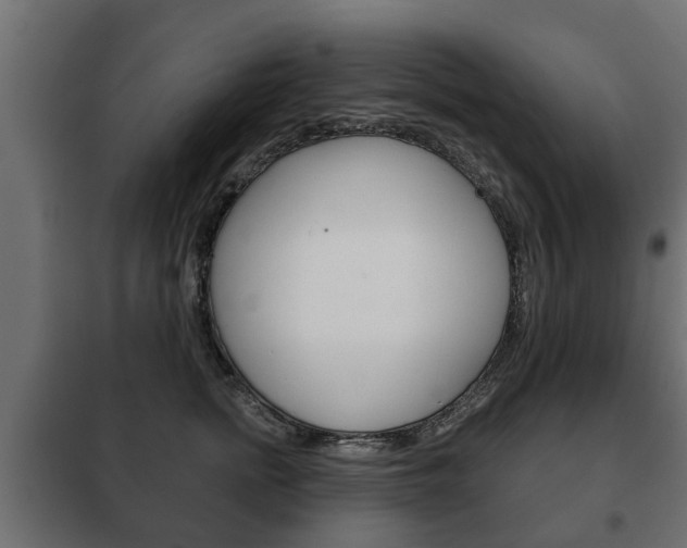 X0000102460758200808080944
