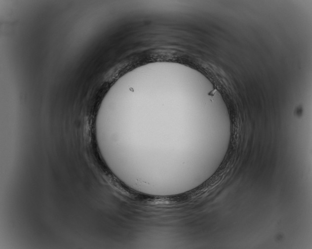 X0000102460759200808080944