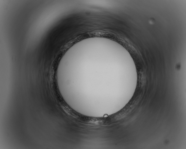 X0000102460760200808080944