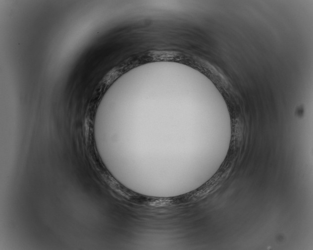 X0000102460761200808080944
