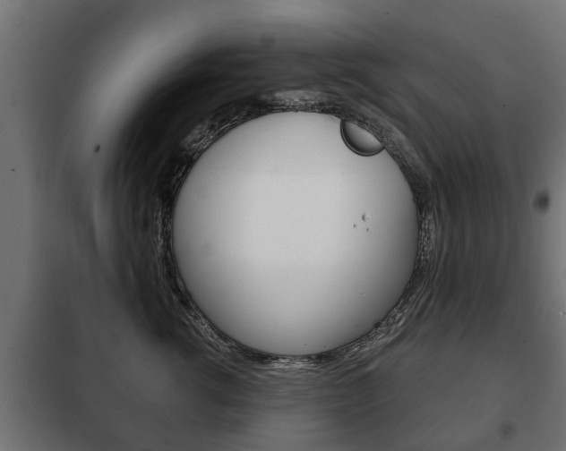 X0000102460762200808080944