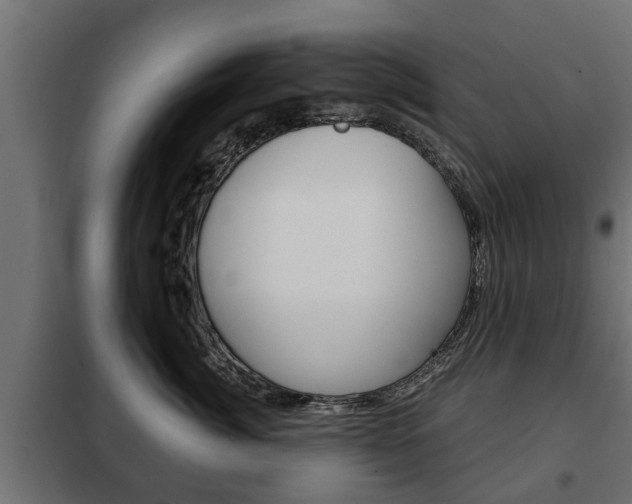 X0000102460764200808080944