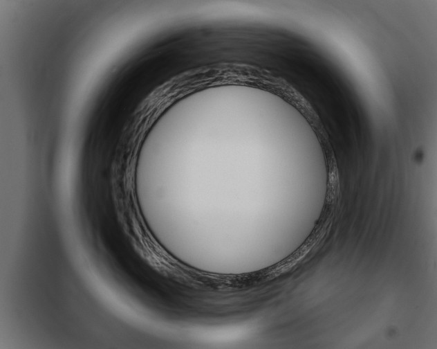 X0000102460765200808080944