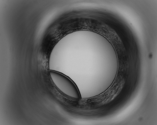X0000102460766200808080944