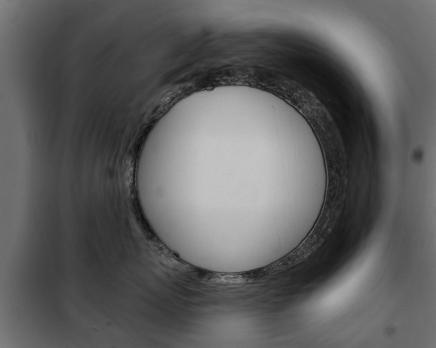 X0000102460767200808080944