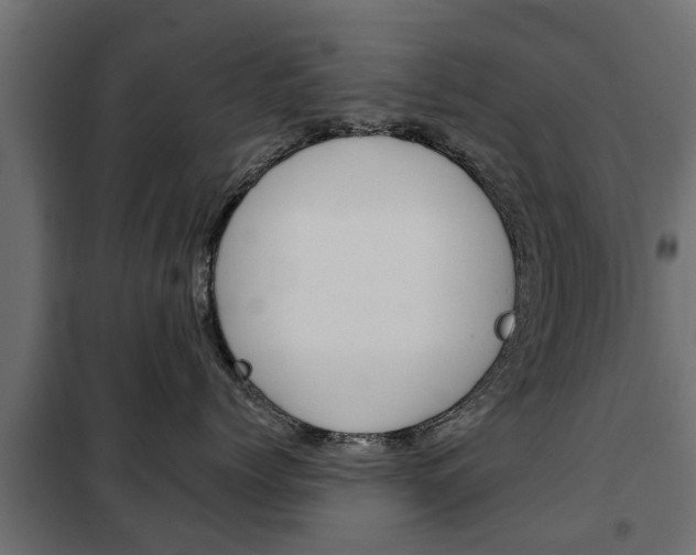 X0000102460768200808080944