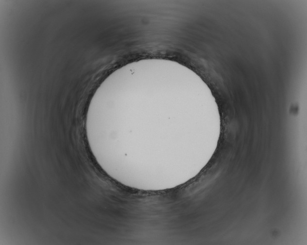 X0000102460769200808080944