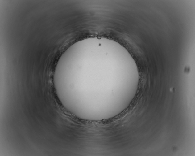 X0000102460770200808080944