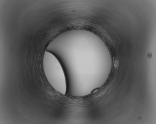 X0000102460771200808080944
