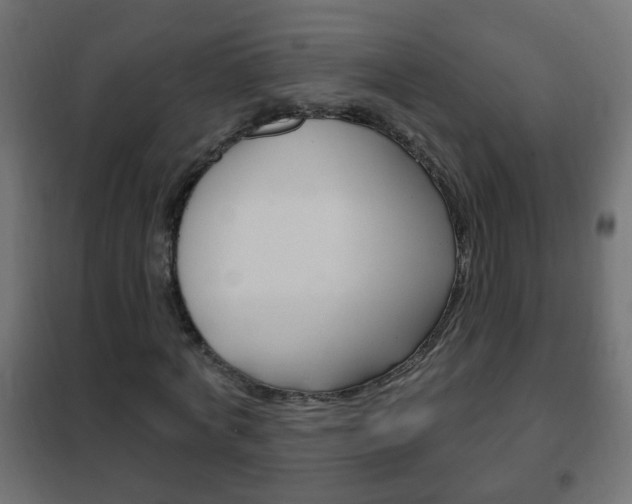 X0000102460772200808080944