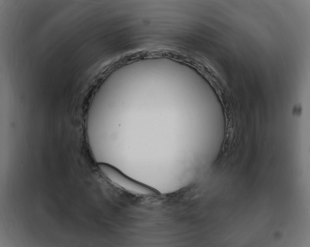 X0000102460773200808080944