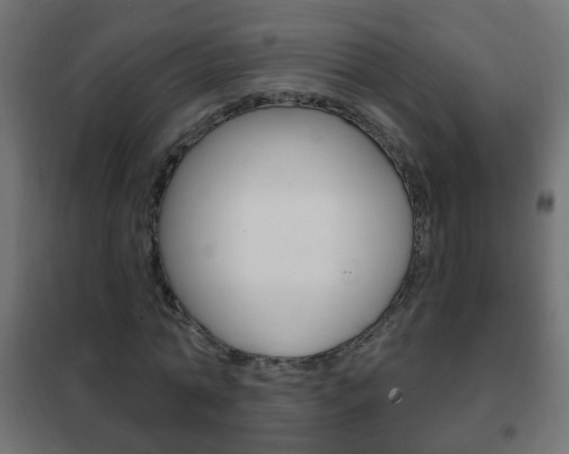 X0000102460774200808080944