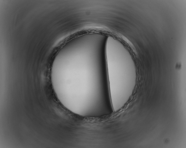 X0000102460775200808080944
