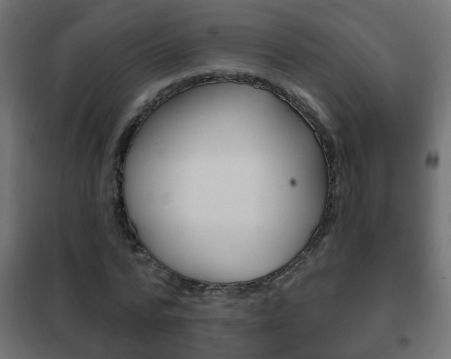 X0000102460776200808080944