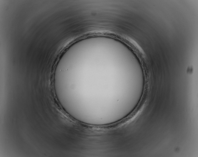 X0000102460777200808080944