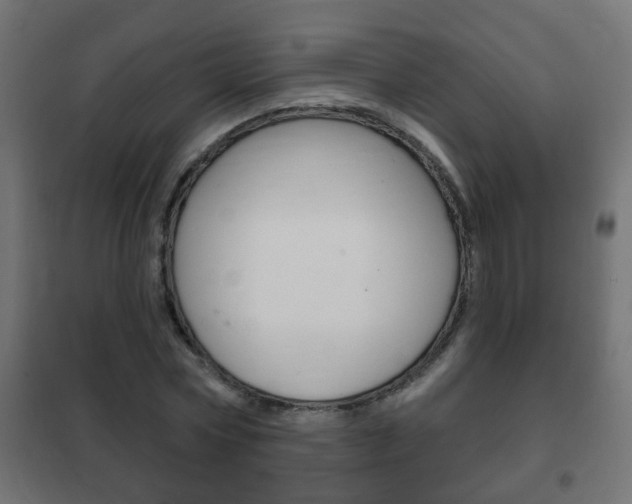 X0000102460778200808080943