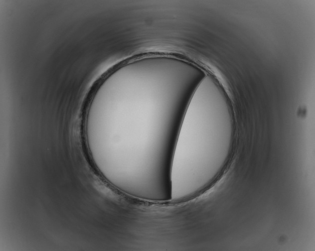 X0000102460779200808080943