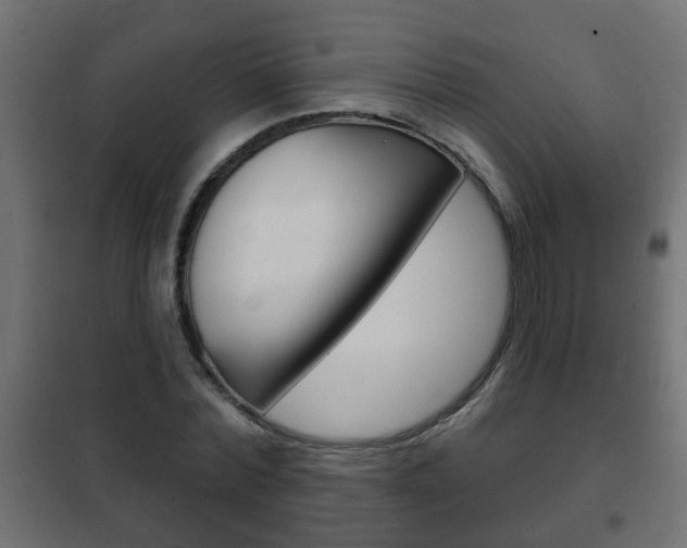 X0000102460780200808080943