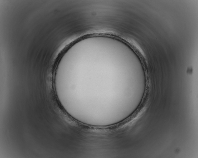 X0000102460781200808080943
