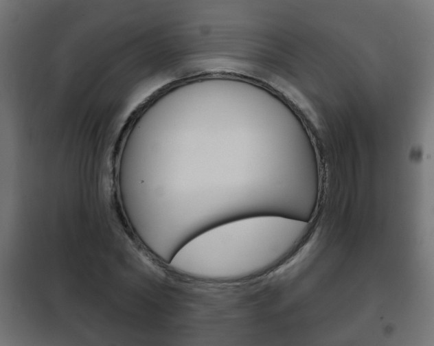 X0000102460782200808080943