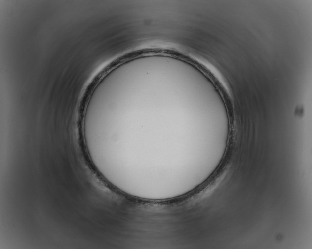 X0000102460783200808080943