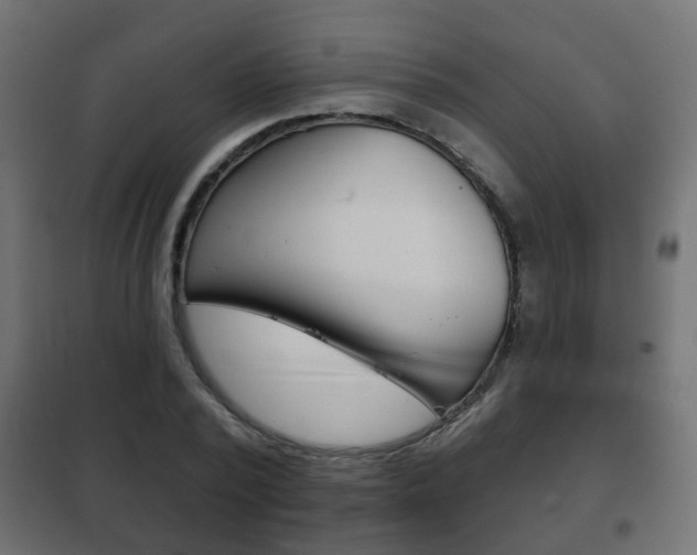 X0000102460784200808080943