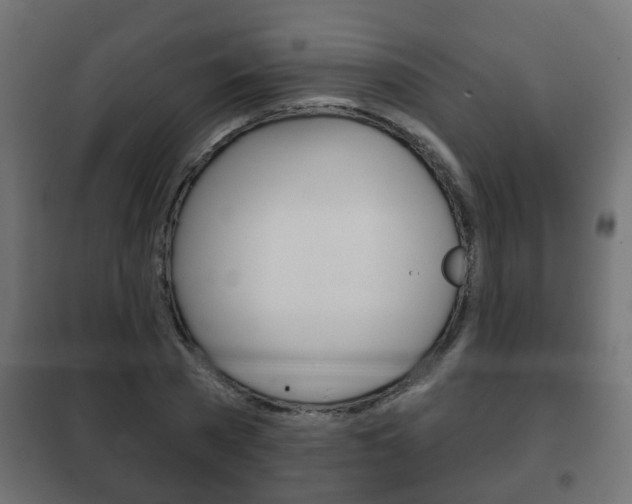 X0000102460785200808080943