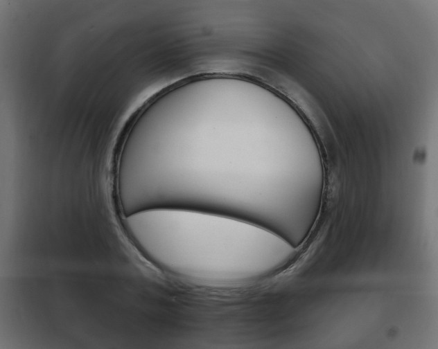 X0000102460787200808080943