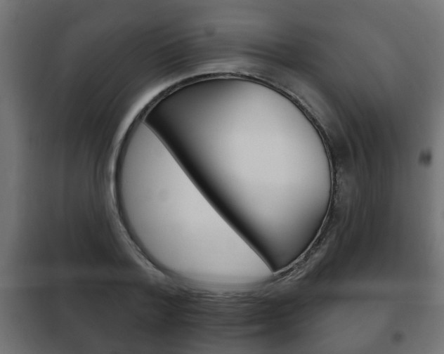 X0000102460788200808080943